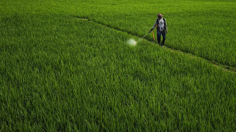 Khushi Farms - Indian Agriculture