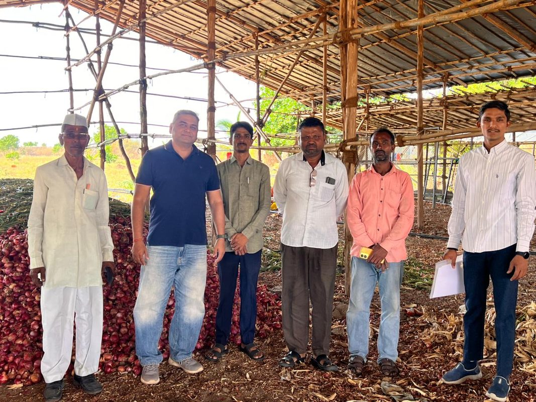 Khushi Farms team inspecting ginger harvest with farmers